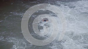 Active bearded guy with long hair is swimming in river right under waterfall