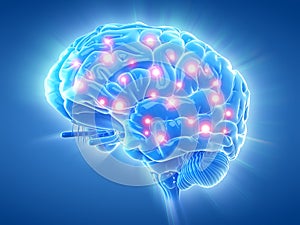 An active brain