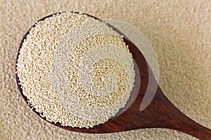 Active dry Baking yeast granules in wooden spoon