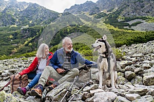 Active elderly couple with dog hiking in autumn mountains, on senior friendly trail. Senior tourists resting, petting