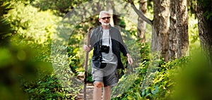 Active elderly man walks with a stick through the green forest, health route. Adventure is ageless