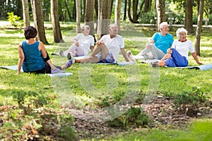 Active elderly people doing yoga