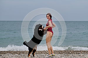 Active friendly family dog breed Bernese Mountain Dog is on vacation on beach. Young pretty Caucasian red haired girl is standing