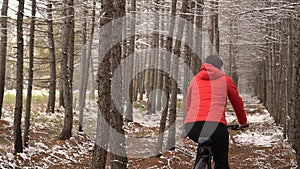 Active girl cycling with her dog. The woman in the winter wood goes between larches.