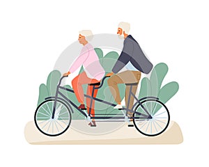 Active grandparents ride tandem bike in summer park. Elderly couple spend time together outdoors. Flat vector cartoon
