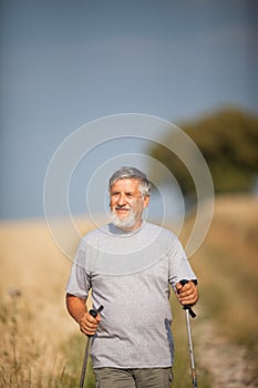 Active handsome senior man nordic walking outdoors