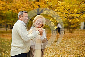 Active seniors on a walk in autumn forest