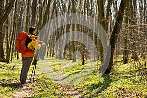 Active healthy man hiking in beautiful forest