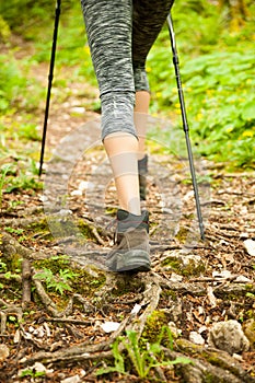 Active hiker hking on a narrow path in forest on a early spring