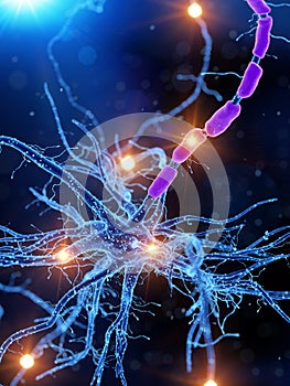 An active human nerve cell