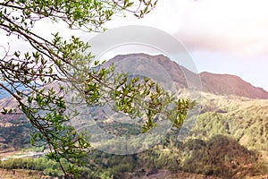 Active Indonesian volcano Batur on the tropical island of Bali. View of great volcano Batur. Beautiful landscape.