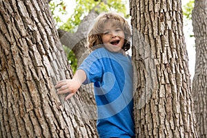 Active kid playing in summer park and climbing up the tree.