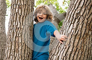 Active kid playing in summer park and climbing up the tree.