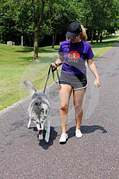 Active Lady walking her dog