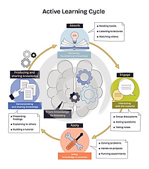 Active learning cycle shows a loop from absorb to apply ...