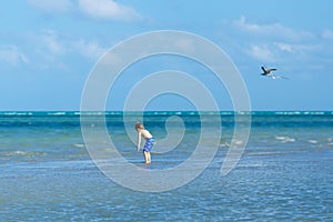 Active little kid boy having fun on Miami beach, Key Biscayne. Happy cute child running near ocean on warm sunny day