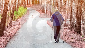 Active man Nordic walking outdoors on a forest path