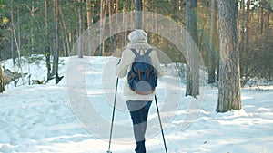 Active mature woman enjoying nordic walking with ski poles in winter forest