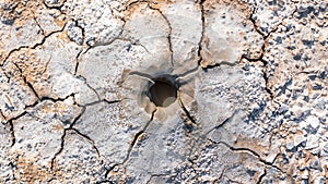 Active mud volcano crater