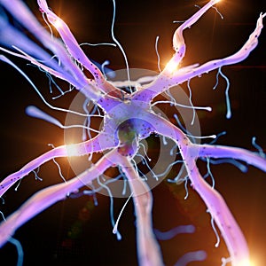 an active nerve cell