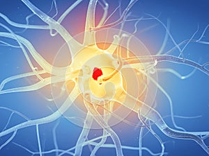 An active nerve cell