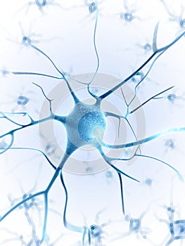 Active nerve cells