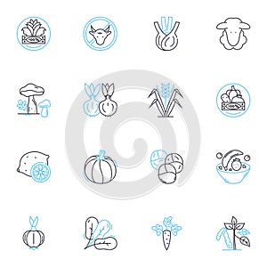 Active nutrition linear icons set. Fitness, Energy, Protein, Endurance, Stamina, Hydration, Performance line vector and