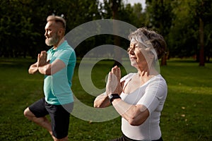 Active older couple doing yoga exercise outdoors at city park