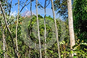 Active Pacaya volcano & woodland photo