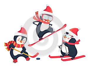 active penguins in winter concept
