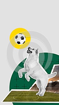 Active purebred dog playing with soccer ball with open air football stadium element on background. Contemporary art