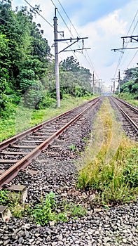 Active railway line accompanied by green plants