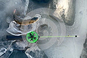 Active rest fishing for perch in winter from ice