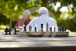 Active retired people, two old friends playing chess at park