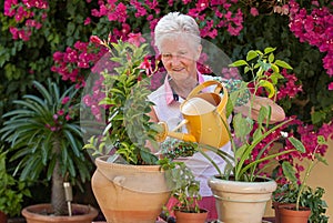 Active retiree gardener watering plants