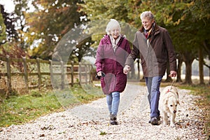 Active Senior Couple On Autumn Walk With Dog On Path Through Countryside photo