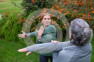 Active senior friends exercising in park