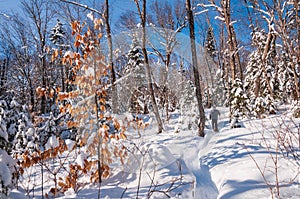 Active senior with snowshoes walking in forest