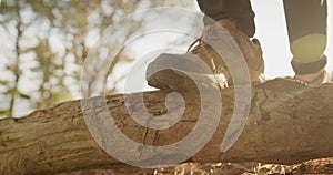 Active senior walking in forest