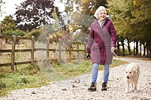 Active Senior Woman On Autumn Walk With Dog On Path Through Countryside