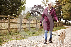 Active Senior Woman On Autumn Walk With Dog On Path Through Countryside