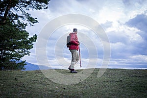 Active senior woman happy hanging from tree in forest