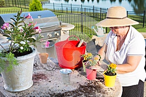 Active senior woman potting ornamental flowers