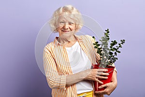 Active senior woman smiling at camera keeping potted plant in hands.