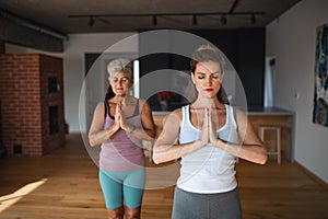 Active senior woman in sportsclothes exercising with her adult daughter indoors at home.