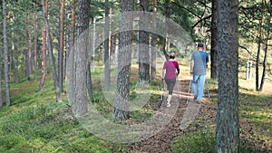 Active seniors doing nordic walking in the woods