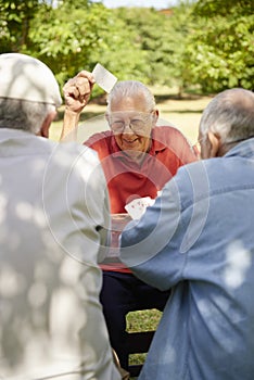 Active seniors, group of old friends playing cards at park