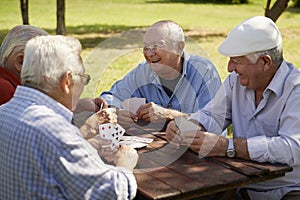 Active seniors, group of old friends playing cards at park photo