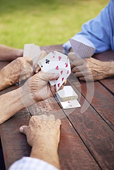 Active seniors, group of old friends playing cards at park