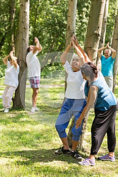 Active seniors working out in a garden
